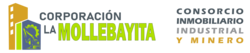 lamollebayita.org.pe
